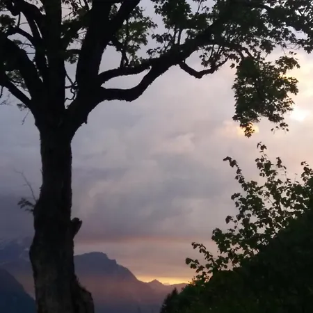 우프 엠 스투츠 1 아파트